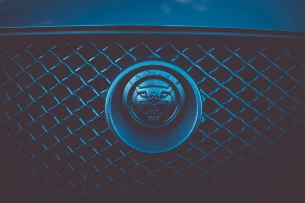 Cleopatra Casino Android/iOS-app